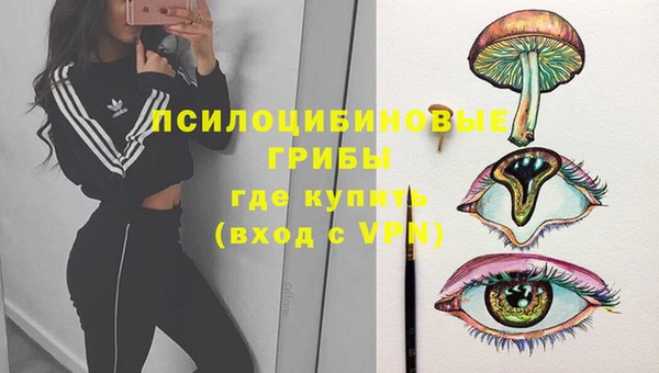 гашиш Надым